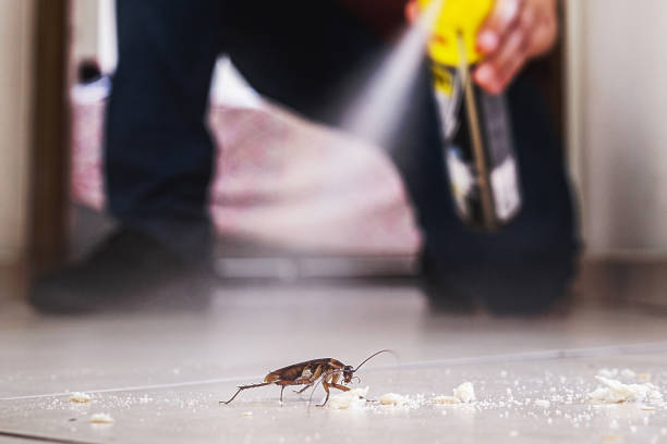 Best Pest Control Near Me  in Wildwood Lake, TN