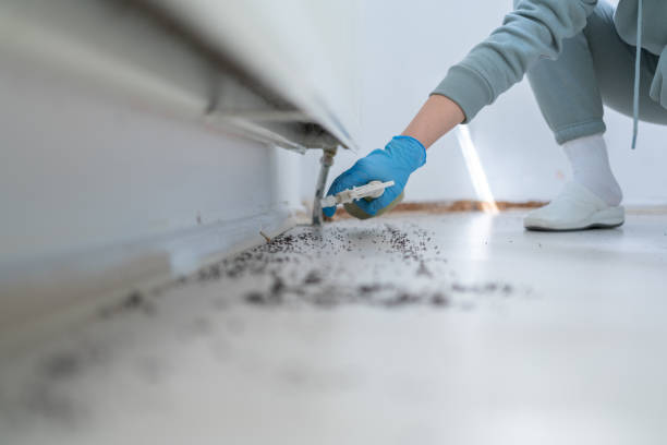 Best Pest Control for Homes  in Wildwood Lake, TN